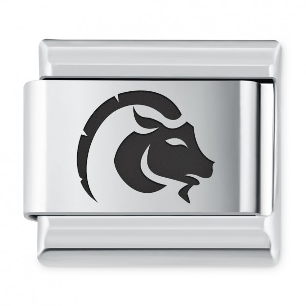 ITALIAN CHARMS Znak zodiaku Koziorożec