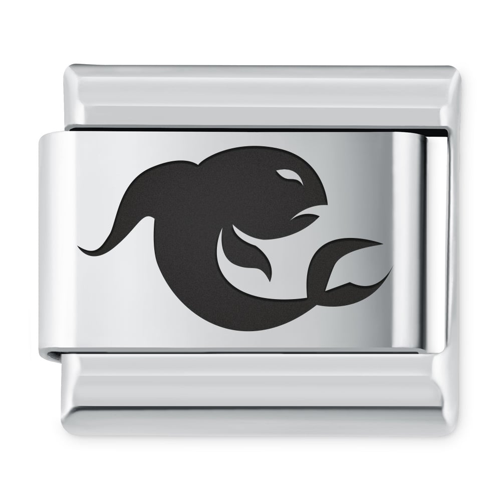 ITALIAN CHARMS Znak zodiaku Ryby