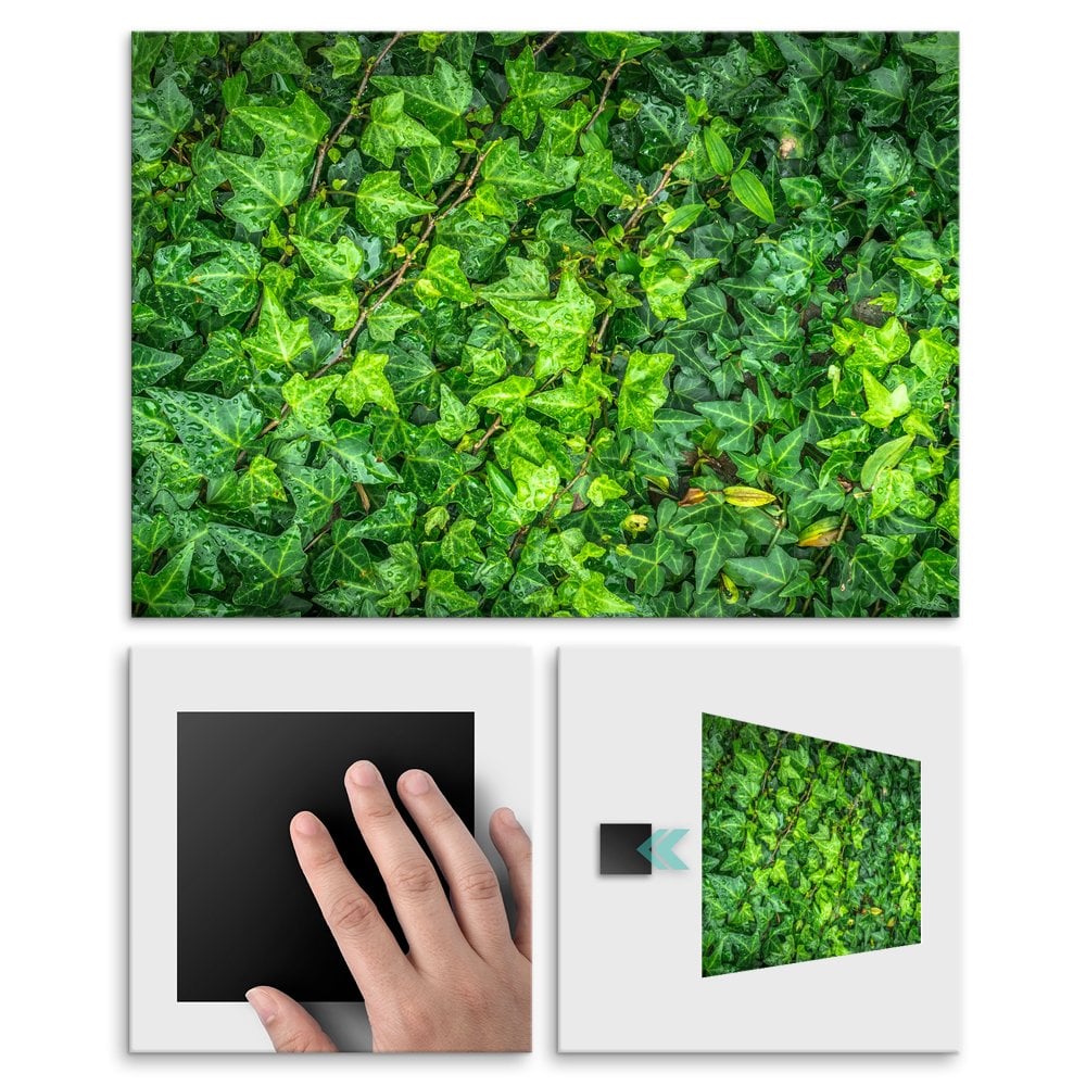 Plakat metalowy zielona tapeta M