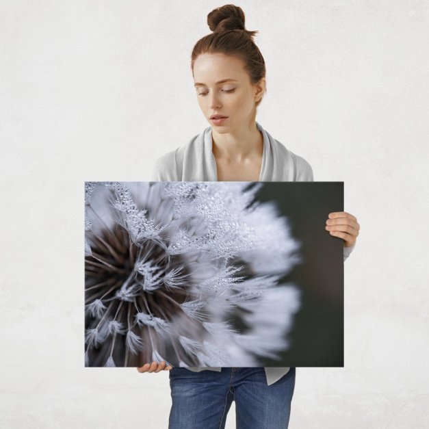 Plakat metalowy dmuchawiec L