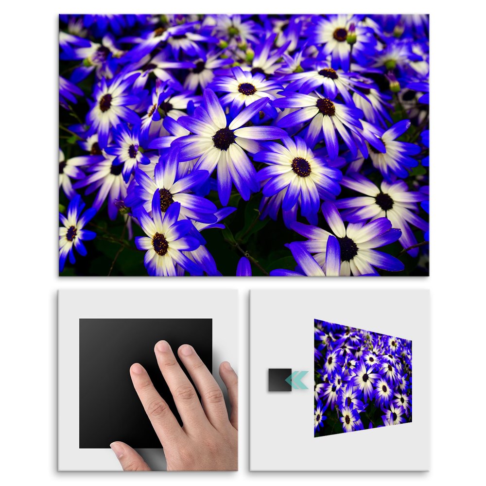 Plakat metalowy kwiaty M