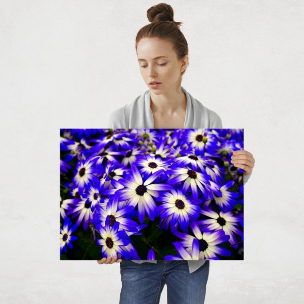 Plakat metalowy kwiaty L