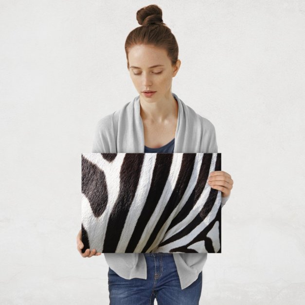 Plakat metalowy zebra M