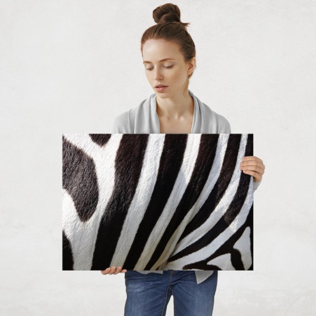 Plakat metalowy zebra L