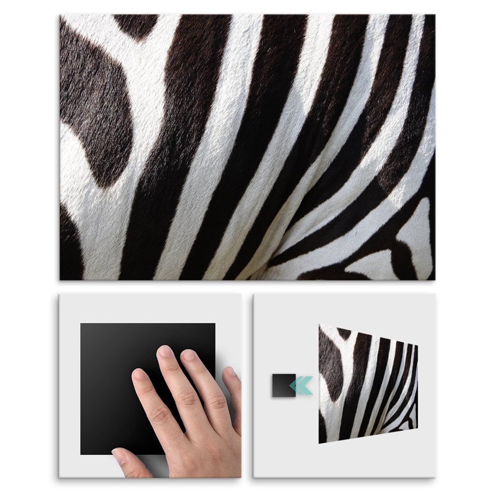 Plakat metalowy zebra L