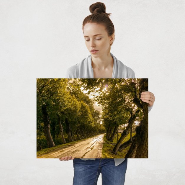 Plakat metalowy leśna droga L
