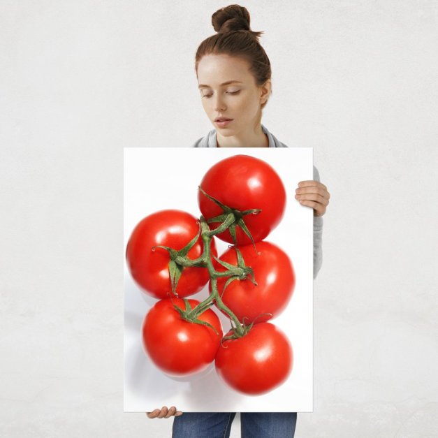 Plakat metalowy pomidory L