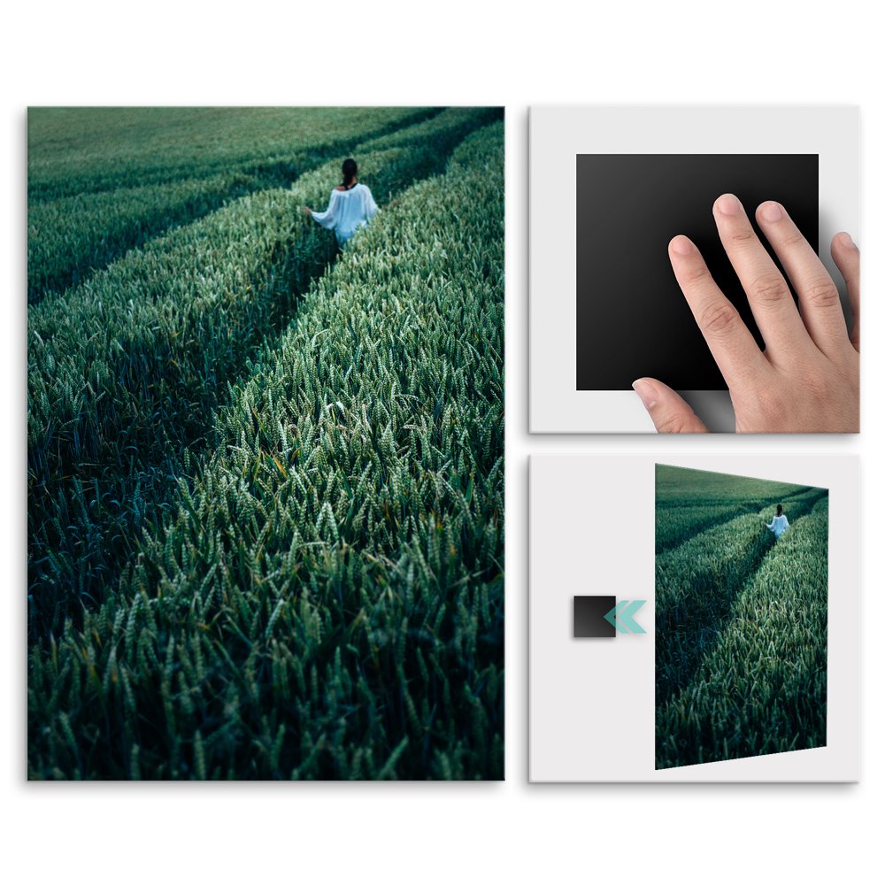 Plakat metalowy dziewczyna wrd kosw M