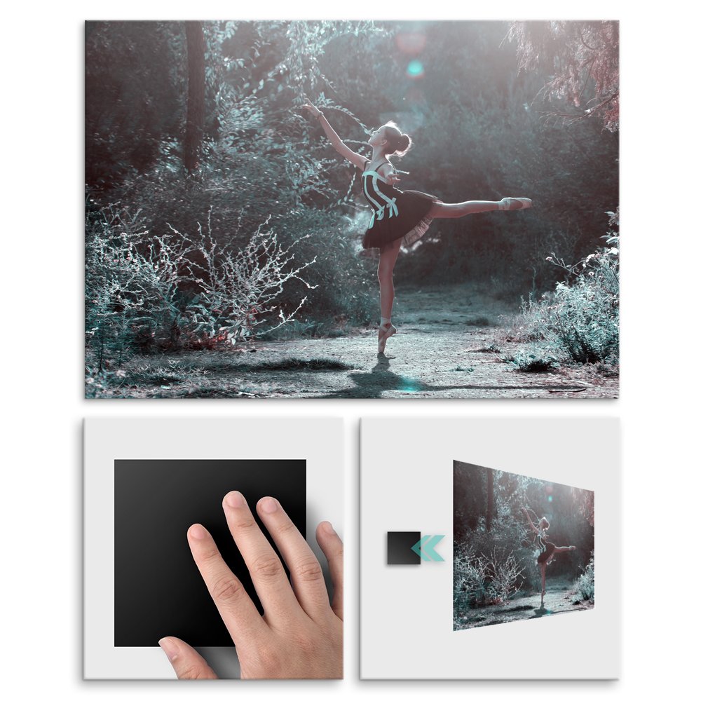 Plakat metalowy lena ballerina L