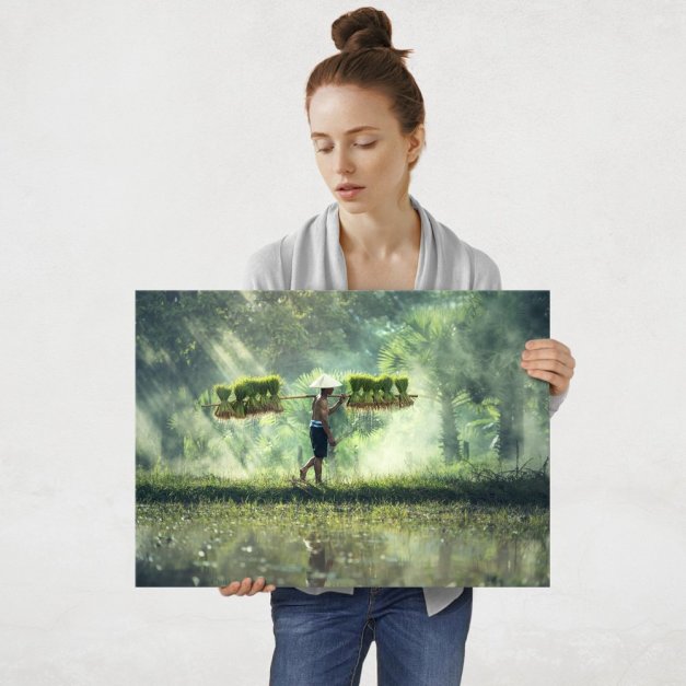 Plakat metalowy hodowca ryżu L