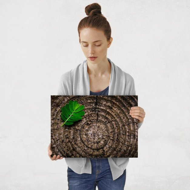 Plakat metalowy liść na pieniu M
