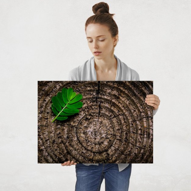 Plakat metalowy liść na pieniu L