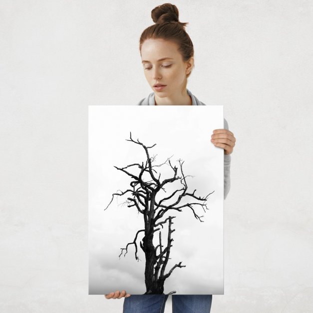 Plakat metalowy martwe drzewo L