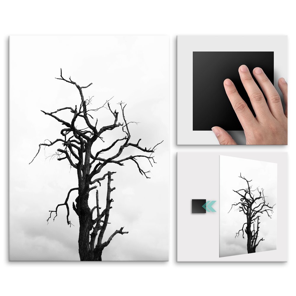 Plakat metalowy martwe drzewo L