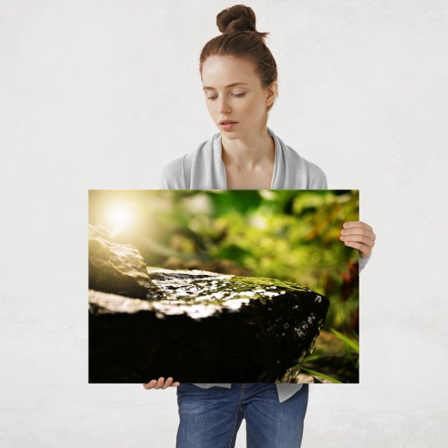 Plakat metalowy piękno lasu L
