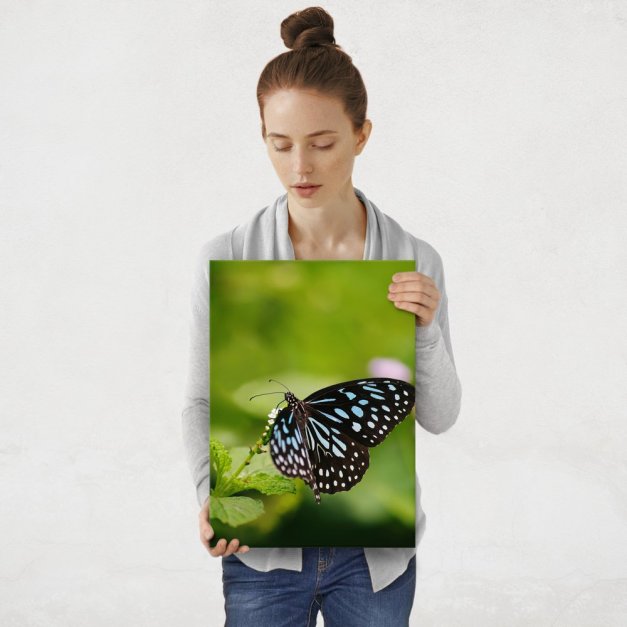 Plakat metalowy motyl M