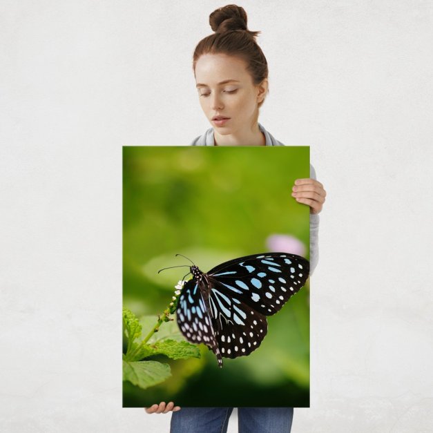 Plakat metalowy motyl L