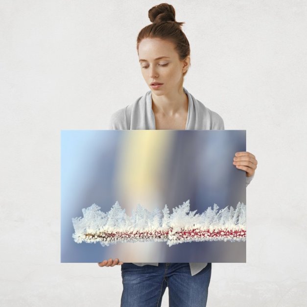 Plakat metalowy szron L