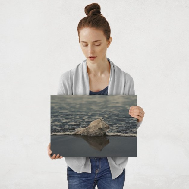 Plakat metalowy muszla M