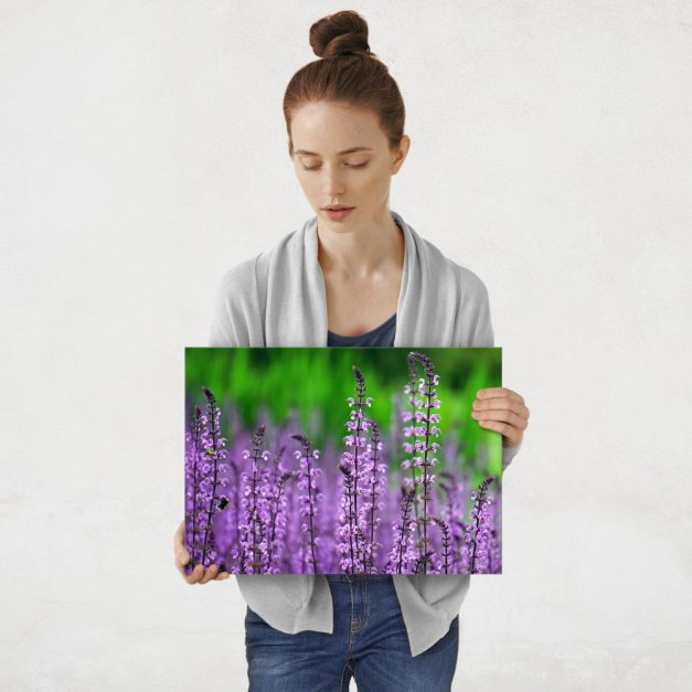 Plakat metalowy purpurowe piękno M
