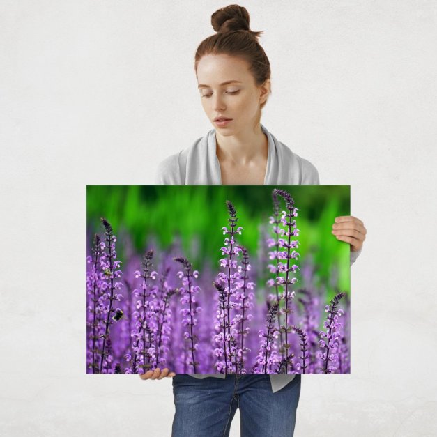 Plakat metalowy purpurowe piękno L