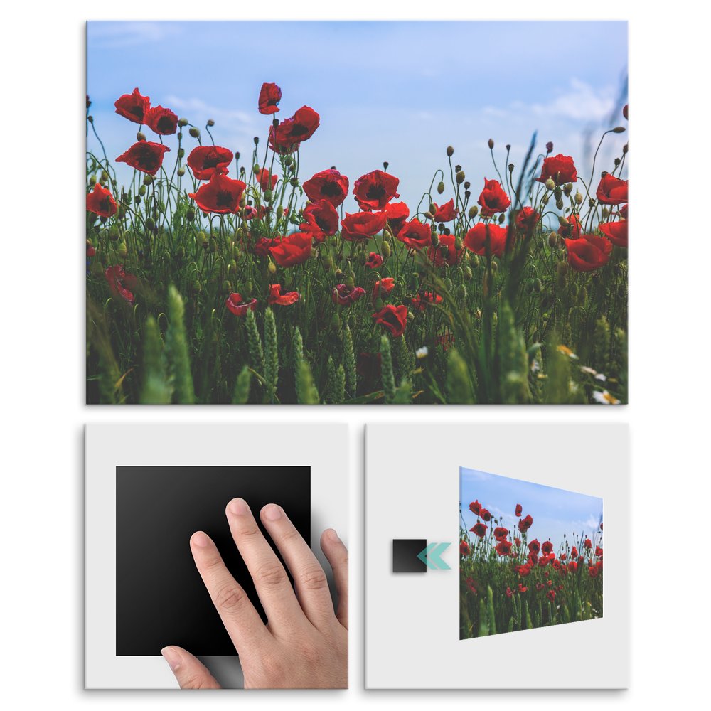 Plakat metalowy maki L