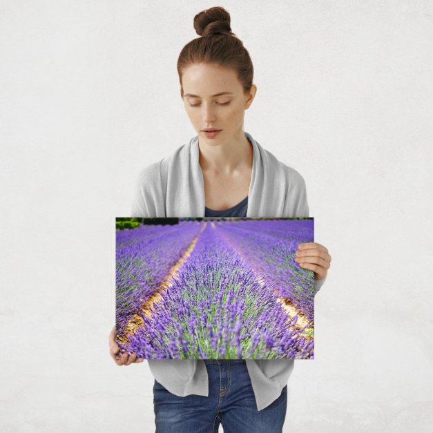 Plakat metalowy aromatyczna hodowla M