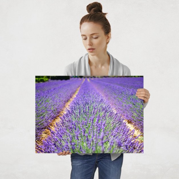 Plakat metalowy aromatyczna hodowla L