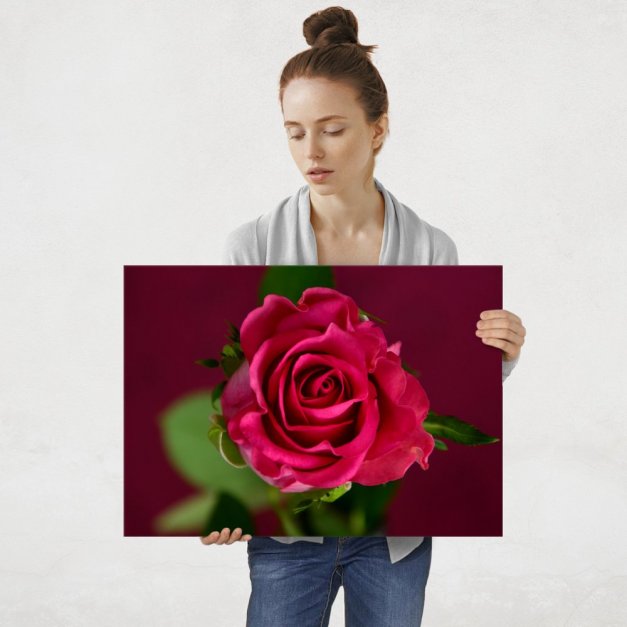 Plakat metalowy róża L