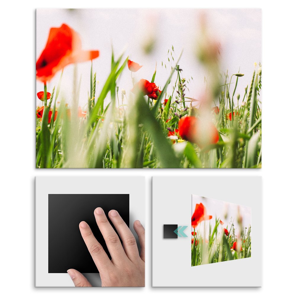 Plakat metalowy maki M