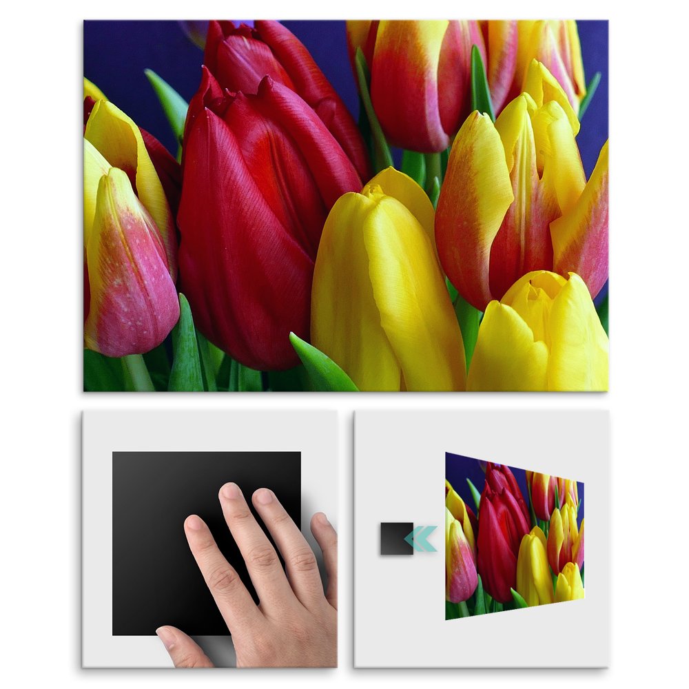 Plakat metalowy tulipany L
