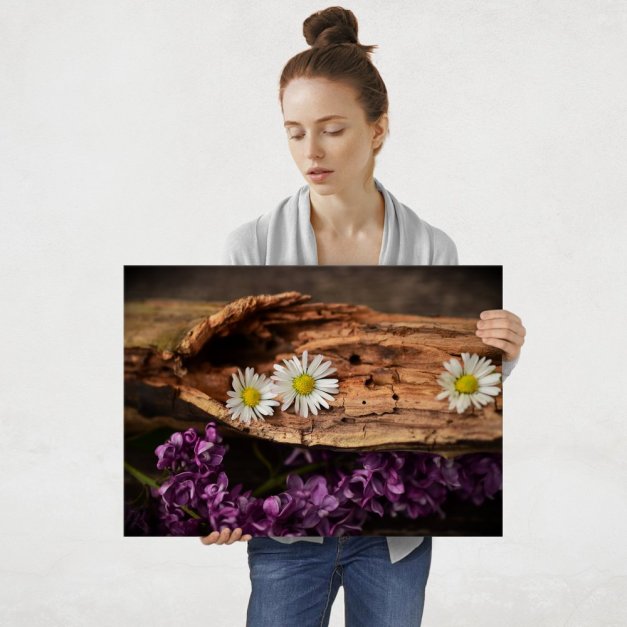 Plakat metalowy mleczyk na drewnie L