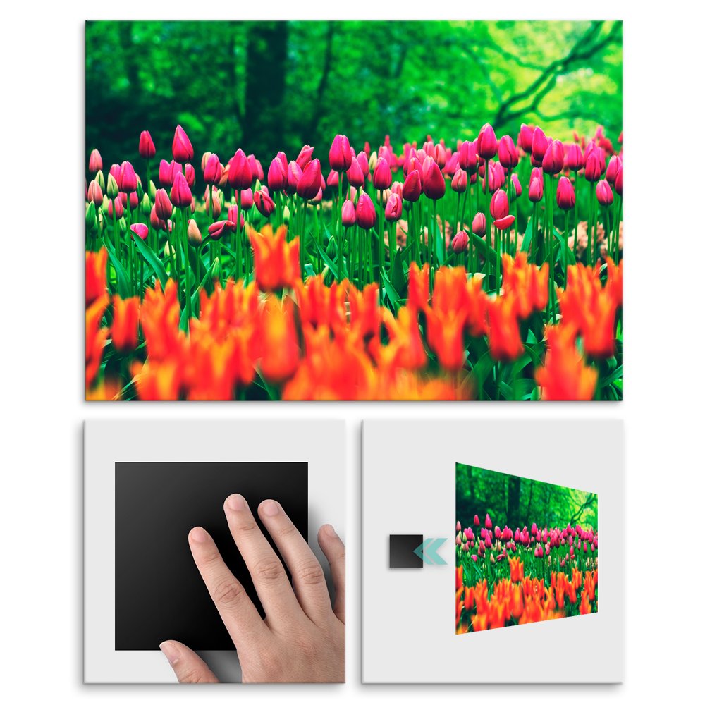 Plakat metalowy kwiaty w lesie L