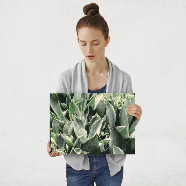 Plakat metalowy aloes M