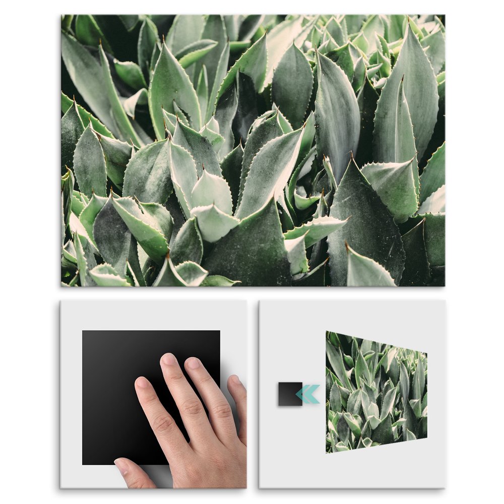 Plakat metalowy aloes L