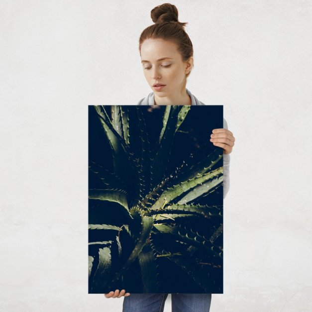Plakat metalowy kaktus L