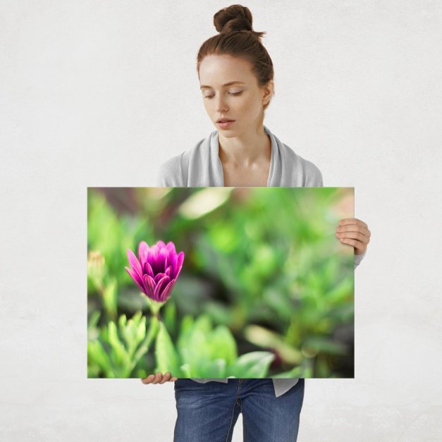 Plakat metalowy lilia L
