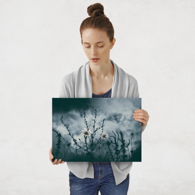 Plakat metalowy natura po zmroku M