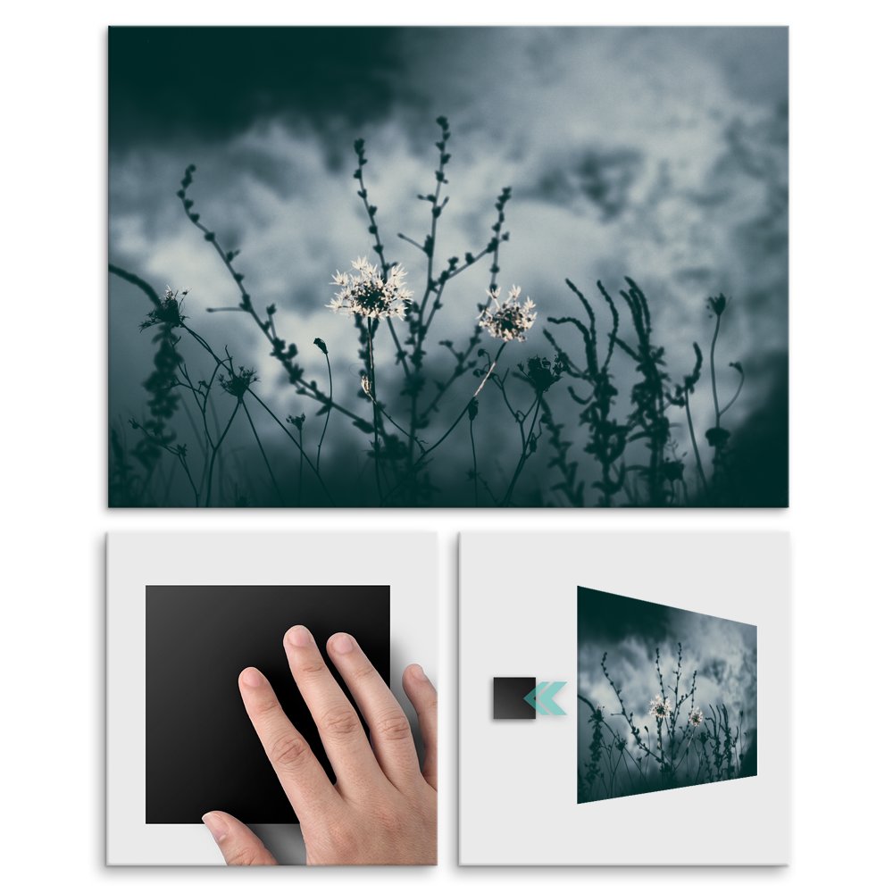 Plakat metalowy natura po zmroku L