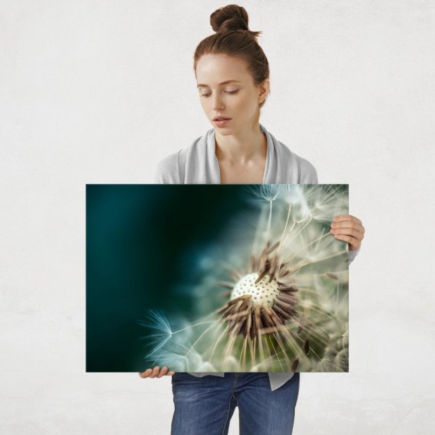Plakat metalowy dmuchawiec L