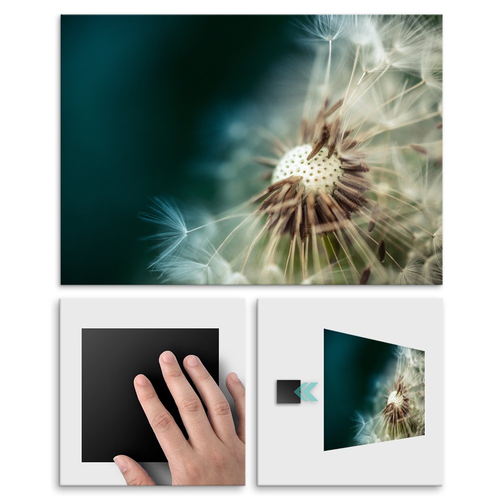 Plakat metalowy dmuchawiec L