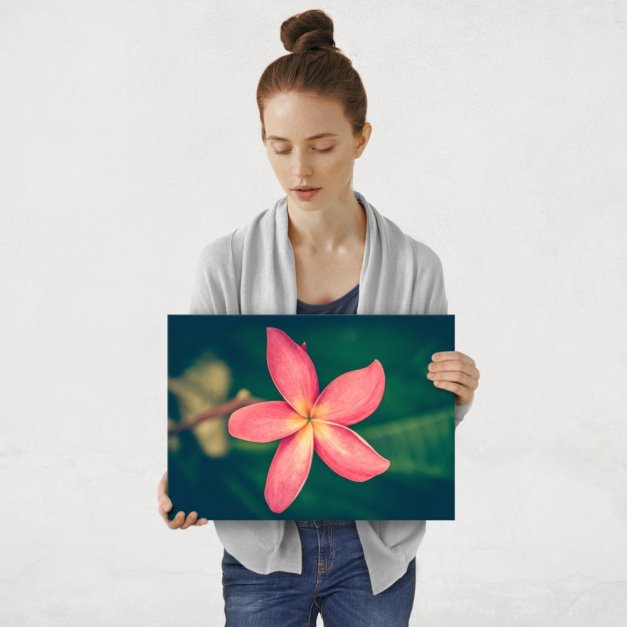 Plakat metalowy plumeria M