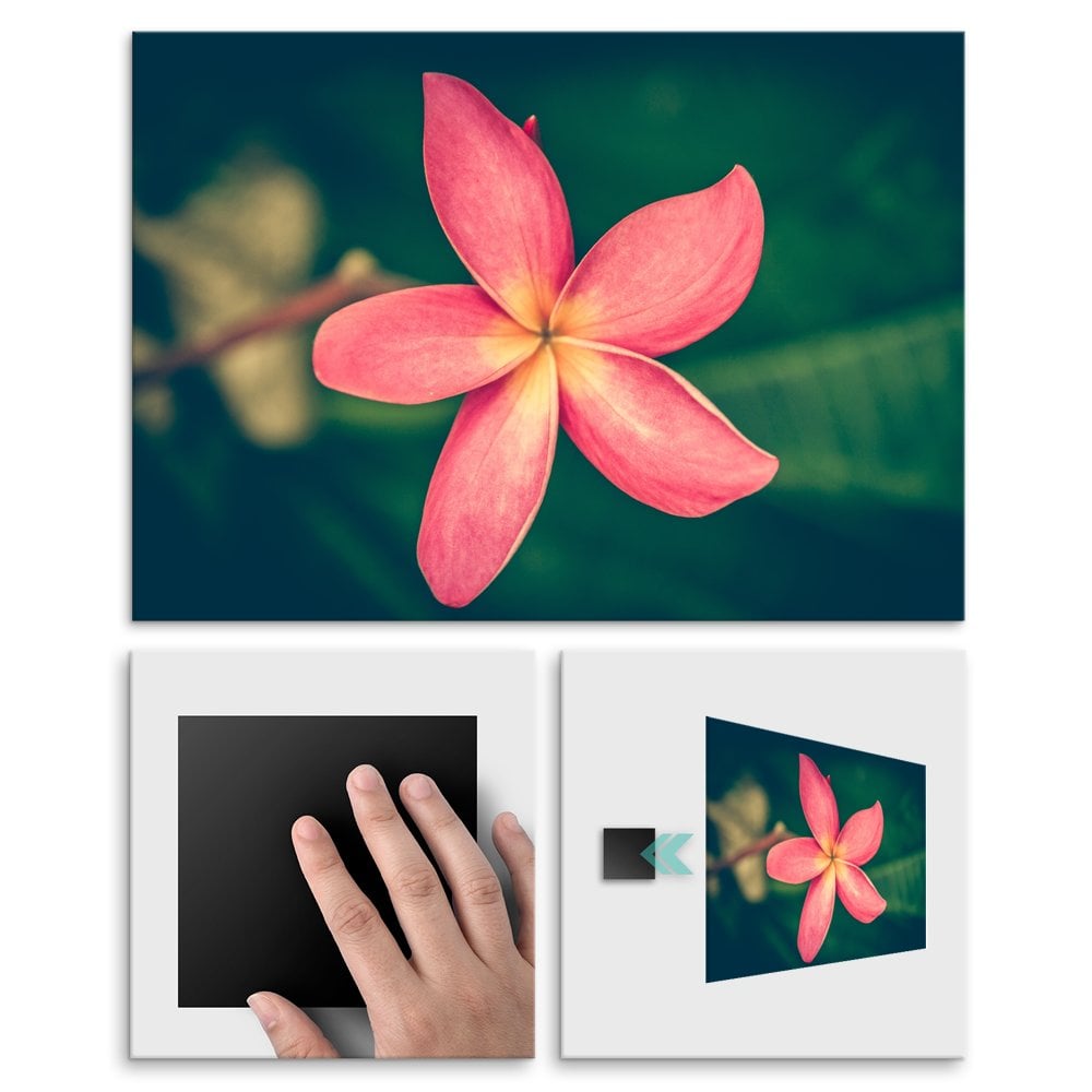 Plakat metalowy plumeria M