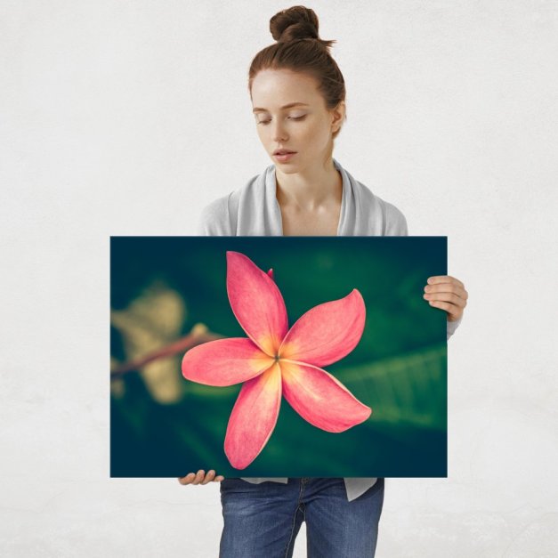 Plakat metalowy plumeria L