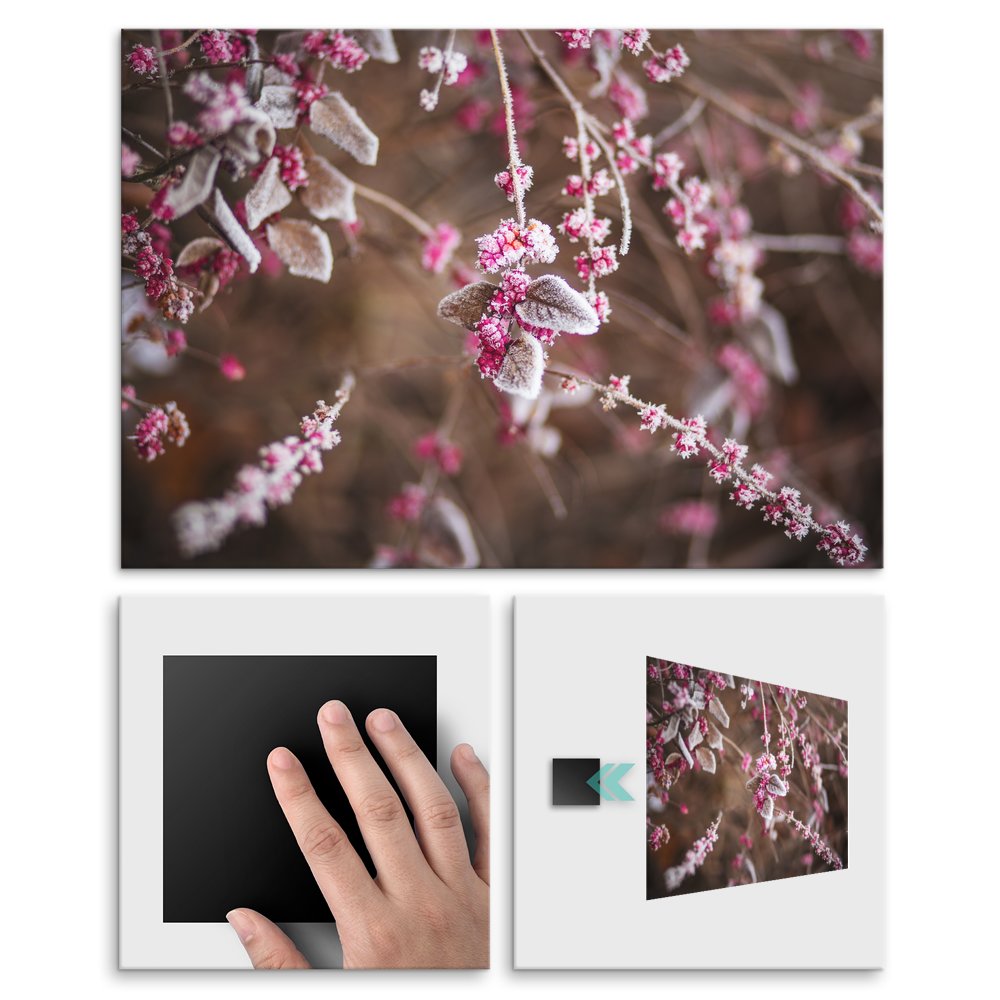 Plakat metalowy szron M