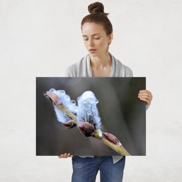 Plakat metalowy bazie kotki L