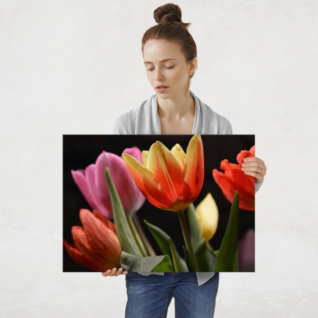 Plakat metalowy tulipany L