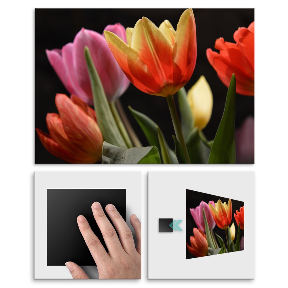 Plakat metalowy tulipany L