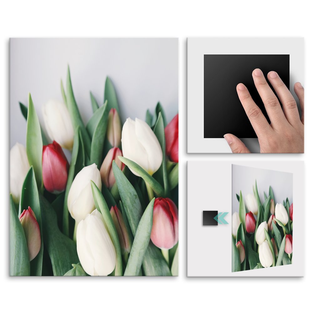 Plakat metalowy bukiet tulipanw L