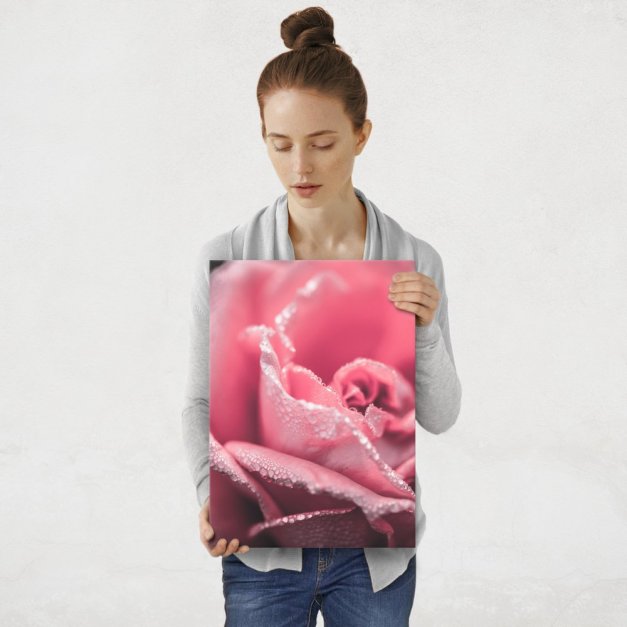 Plakat metalowy róża po deszczu M